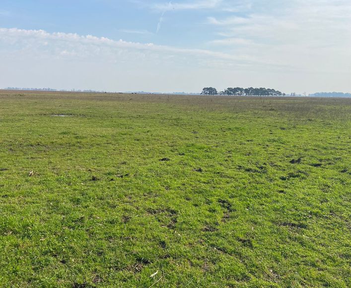 Campo en San Miguel del Monte